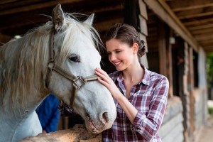 Průměrná životnost koně: jaké faktory ovlivňují dlouhověkost?